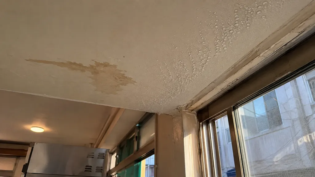 천장 곰팡이가 반복될 때 결로와 누수를 구분하는 관찰 기준 설명 이미지