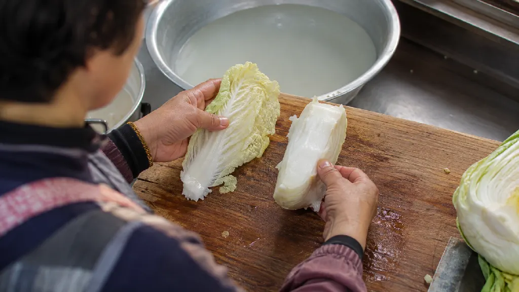 배추 잎과 줄기는 왜 같은 김치에서도 간이 다르게 느껴질까 설명 이미지
